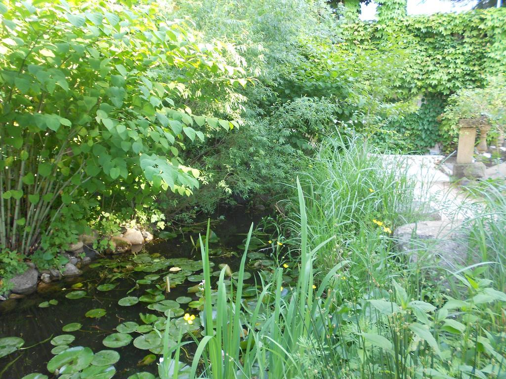 Apart'Hotel Les 4 Sources Corbes Bagian luar foto
